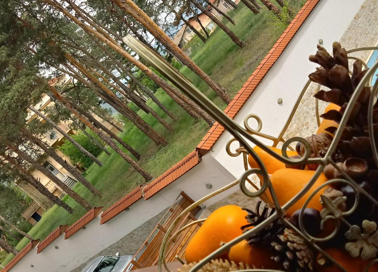 Апартамент Allegri Padrini Комплекс Вели Хилс Velingrad Exterior photo